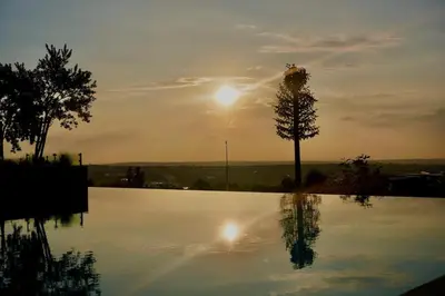 a reflection of a tree in a swimming pool at Elipse Waterfall Luxe Executive Apartment in Midrand