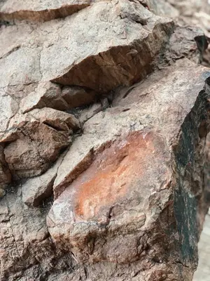 a close up of a piece of rock at Aloe Lodge in Thabazimbi