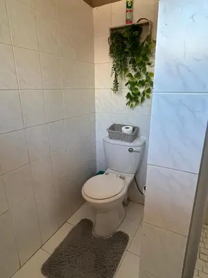 a bathroom with a toilet with a plant on the wall at Dorpsrus in Bela-Bela