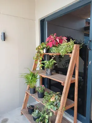 a ladder with potted plants on it next to a door at the Host at Bingos House in Thohoyandou