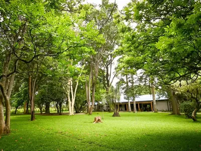 a dog laying on the grass in a park with trees at The Roaming Goat Guesthouse in Toekoms