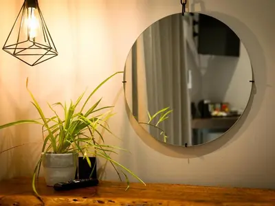 a mirror on top of a table with a plant at The Roaming Goat Guesthouse in Toekoms