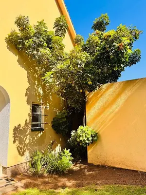 a tree sitting next to a yellow building with plants at Bophelong Guest House in Witbank