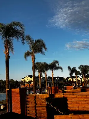 a group of palm trees in front of a fence at The Blyde Estate Apartments in Pretoria