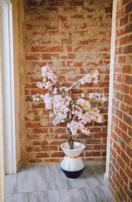 a plant in a vase in front of a brick wall at L a Grande deluxe in Benoni