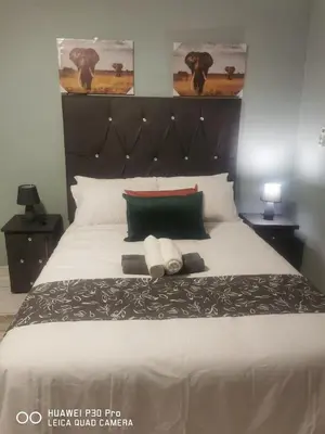 a bedroom with a large bed with two pillows at A home away from Home in Musina