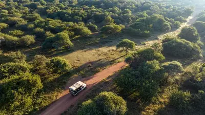a truck driving down a road in a forest at Sable Ranch Selfsorg in Brits