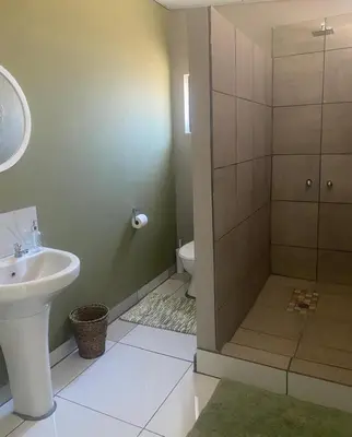 a bathroom with a shower and a sink and a toilet at Little Amanzi in Pienaarsrivier