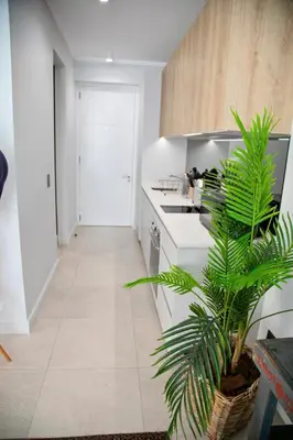 a kitchen with a palm plant in the middle of it at Ad Astra Studio Apartment - Waterfall in Midrand