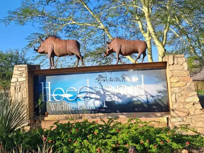 two animals standing on top of a sign at The Lofts in Hoedspruit