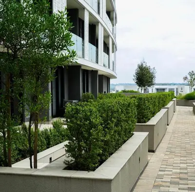 a row of bushes in front of a building at Serenity Getaway in Midrand