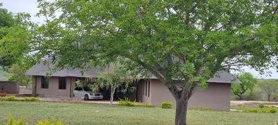a house with a tree in front of it at Collen Pillar Hotels, Windsor Royale