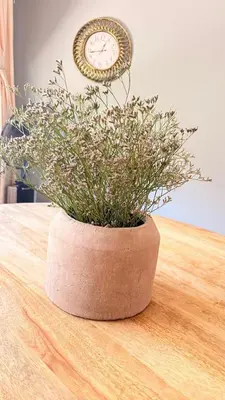 a plant in a pot on a table with a clock at 33OnPangolin B&B in Nelspruit
