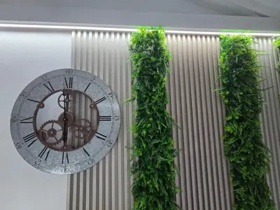 a clock is hanging on a wall with plants at Indulge Deluxe Accommodation in Middelburg