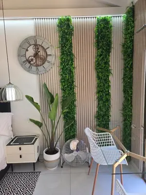 a room with a plant and a clock on a wall at Indulge Deluxe Accommodation in Middelburg