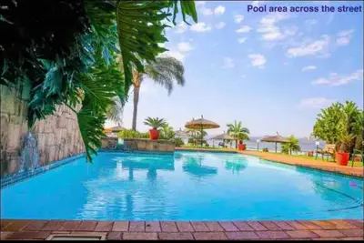 a large blue swimming pool with palm trees at Damview guesthouse in Hartbeespoort