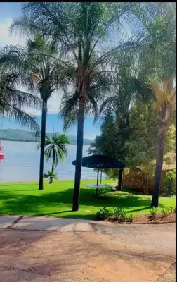 a group of palm trees with a lake in the background at Damview guesthouse in Hartbeespoort