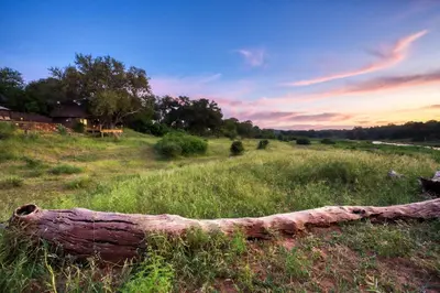 a log laying on the grass in a field at Emhosheni River Lodge in Balule Game Reserve
