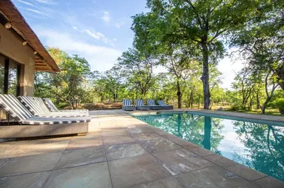 a swimming pool with lounge chairs and trees at Xanatseni Private Camp in Klaserie Private Nature Reserve