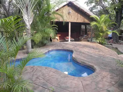 a swimming pool in front of a house at Marloth Kruger Little Manor in Marloth Park