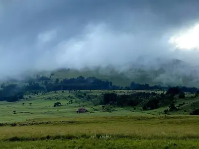 a green field with clouds on a hill with trees at Angel's Rest in Dullstroom