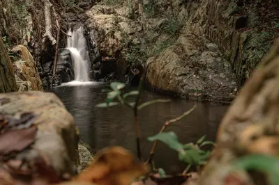 a waterfall in the middle of a forest with rocks at Serenity Mountain and Forest Lodge in Malelane