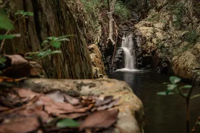 a waterfall in the middle of a forest at Serenity Mountain and Forest Lodge in Malelane