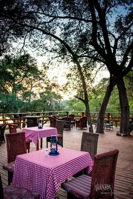 two tables and chairs with pink and white checkered tables at Rio Dos Elefantes River Camp in Hoedspruit