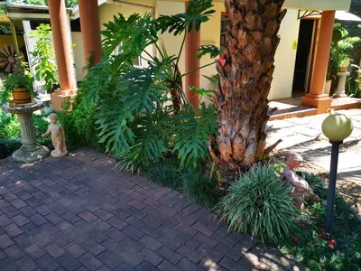 a garden with a tree and some plants at Rozendal Guest House in Centurion