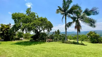a park with palm trees and a green lawn at LoerieRoep Estate - Mountainview Selfcatering Accommodation Nelspruit in Nelspruit