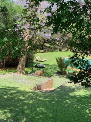 a park with a tree and a swimming pool at Lepêllê Lodge in Burgersfort