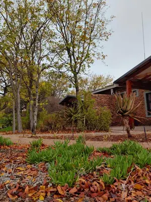 a yard with leaves on the ground in front of a house at Munati B&B in Musina