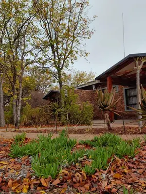 a house with a garden with plants in front of it at Munati B&B in Musina