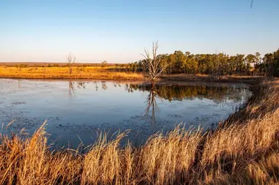 a small pond in the middle of a field at Waterberg Cottages, Private Game Reserve in Vaalwater