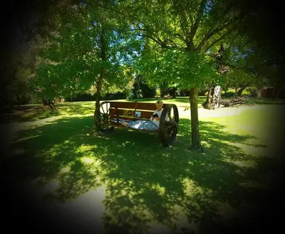 a man sitting in a horse drawn carriage under a tree at Andante Lodge in Pretoria