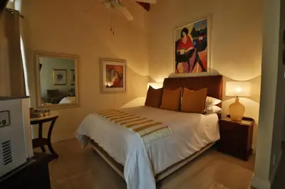 a bedroom with a large bed and a mirror at Andante Lodge in Pretoria