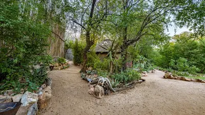 a garden with a house and some plants and trees at Umlani Bushcamp in Timbavati Game Reserve