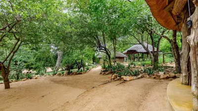 a dirt road leading to a gazebo with trees at Umlani Bushcamp in Timbavati Game Reserve