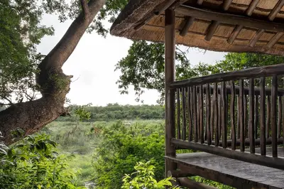 a wooden porch with a view of a tree at Kruger Gate Hotel in Skukuza