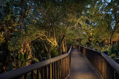 a wooden bridge in a park with trees at Kruger Gate Hotel in Skukuza