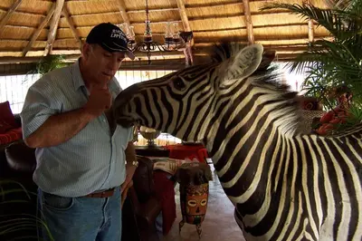 a man is standing next to a zebra at Wielewaal Bush Lodge in Marloth Park