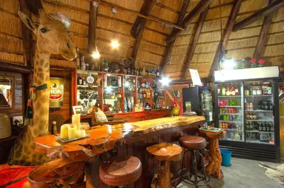 a bar with a giraffe head in a room at Wielewaal Bush Lodge in Marloth Park