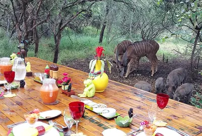 a wooden table with a table with animals around it at Wielewaal Bush Lodge in Marloth Park