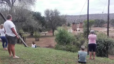 a group of people playing in a park at Three Bridges B&B in Hoedspruit