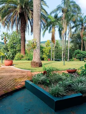a garden with palm trees and plants in a park at Pecan Farm Guesthouse in Louis Trichardt
