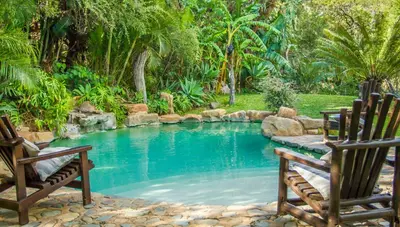 a swimming pool in a yard with two chairs at LittleBush Private Lodge in Hoedspruit