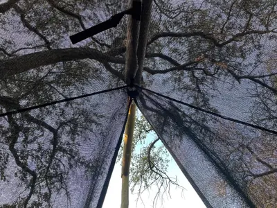 a view of the top of a tree at Rhino Walking Safaris in Skukuza