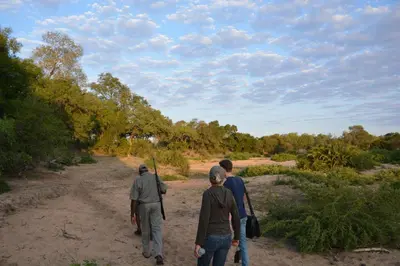 three men walking down a dirt road at Rhino Walking Safaris in Skukuza