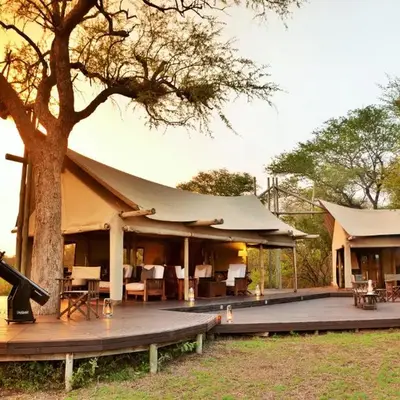 Rhino Walking Safaris