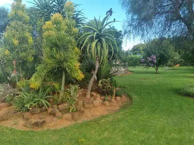 a garden with a palm tree and other plants at Big Boma Guest House in Lydenburg